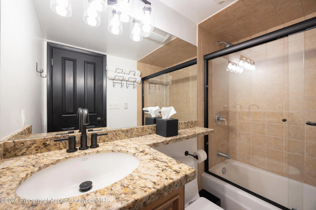 17 of 22 - 901 E Hyman Avenue 4, Aspen, CO