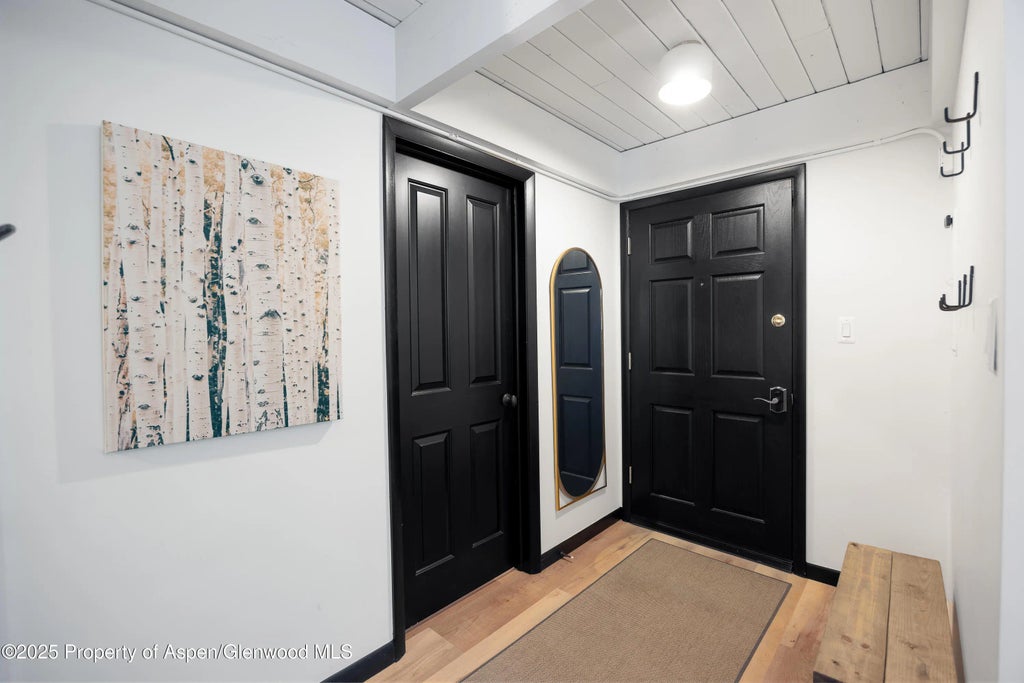 18 of 22 - 901 E Hyman Avenue 4, Aspen, CO