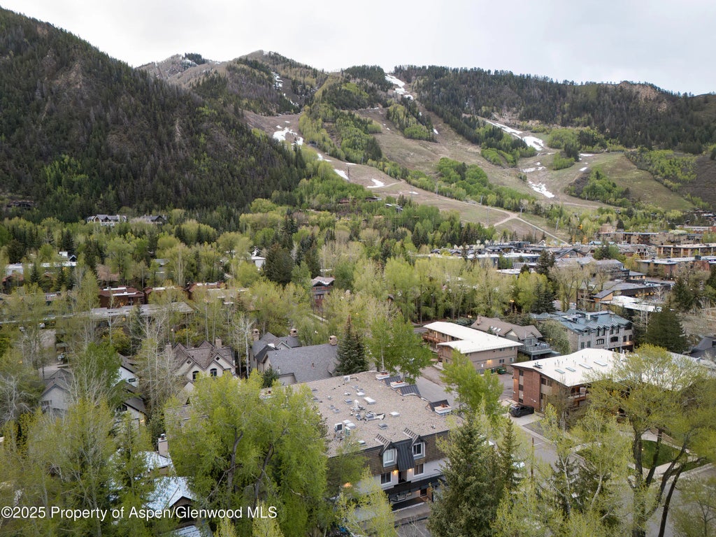 22 of 22 - 901 E Hyman Avenue 4, Aspen, CO