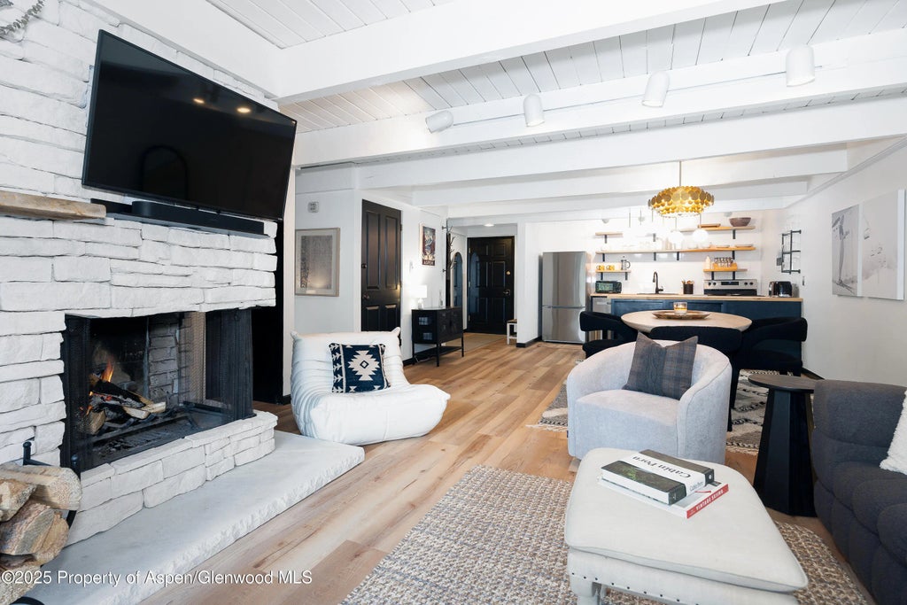 4 of 22 - 901 E Hyman Avenue 4, Aspen, CO