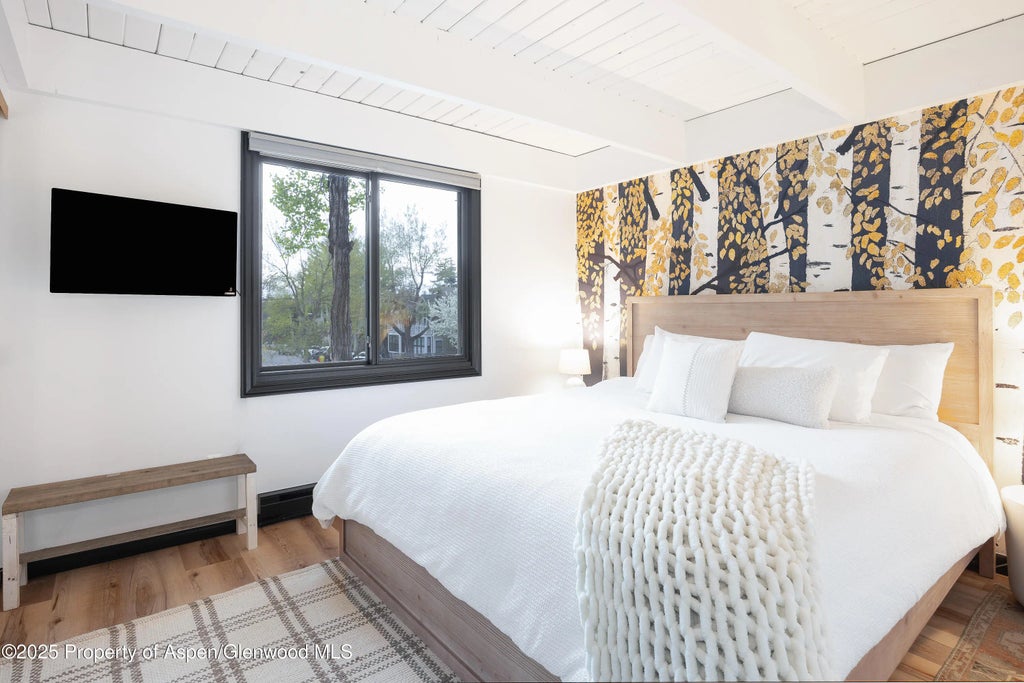 9 of 22 - 901 E Hyman Avenue 4, Aspen, CO