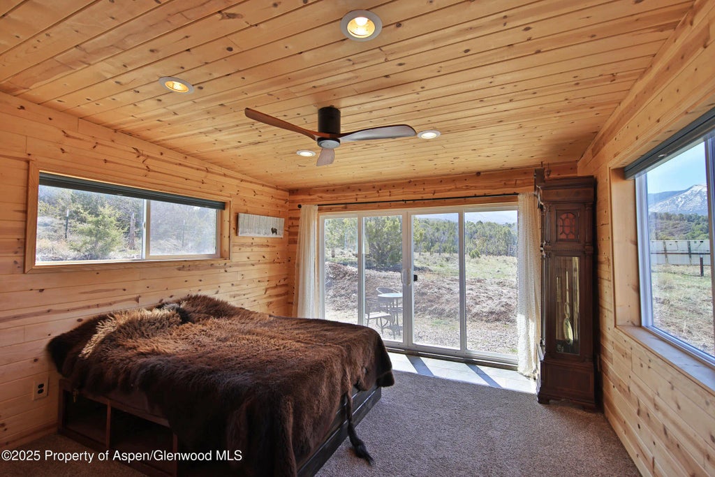 13 of 36 - 56001 Kk Road, Molina, CO
