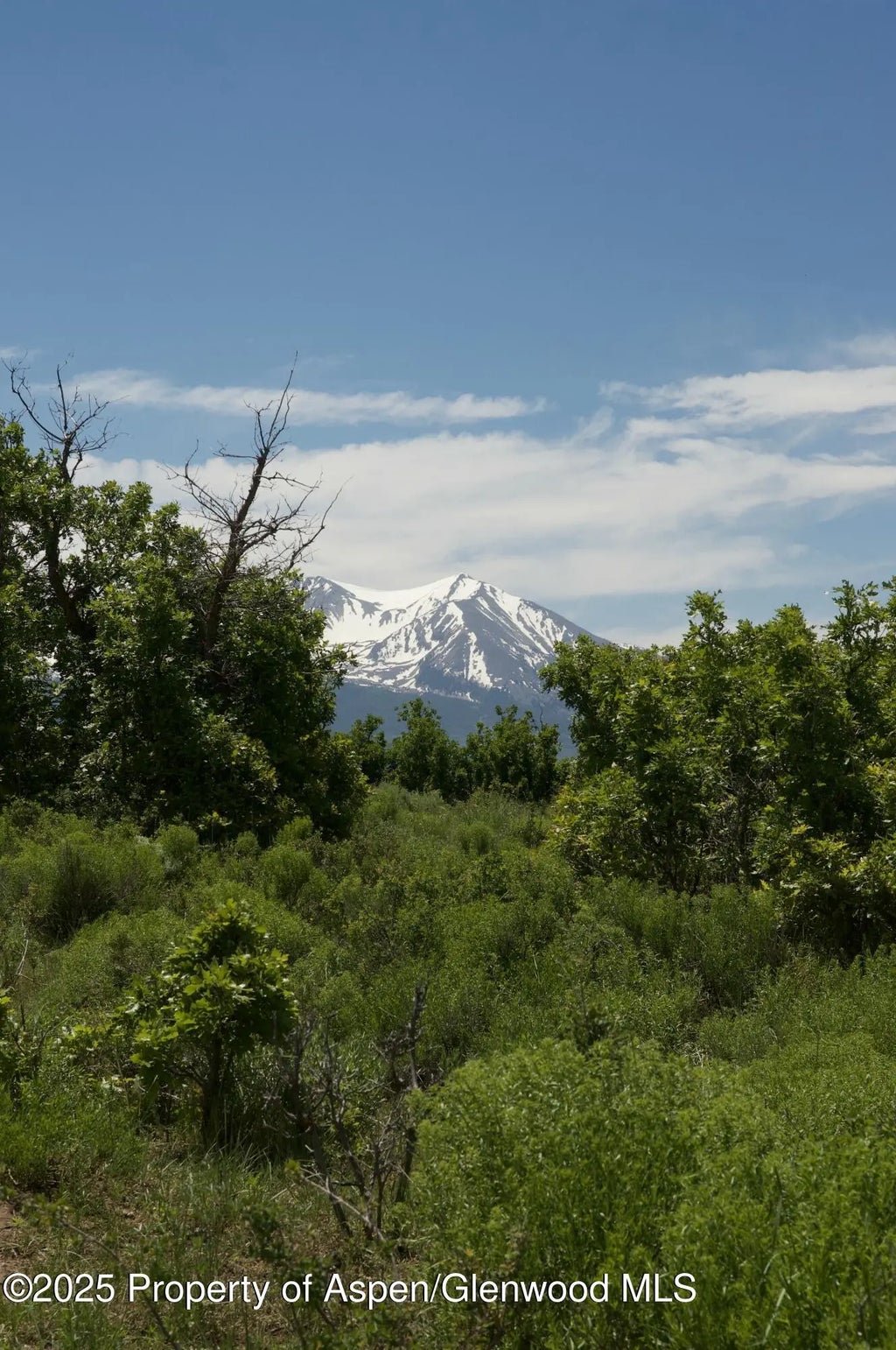 5 of 27 - Tbd Spring Park Ridge, Carbondale, CO