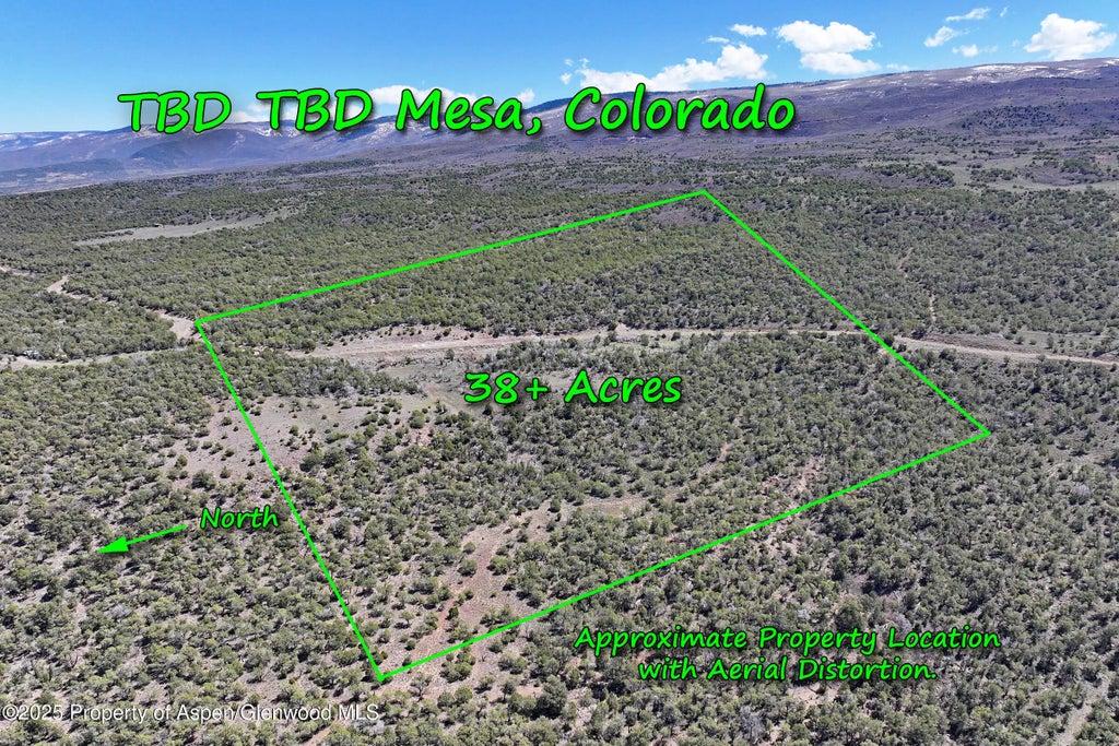 1 of 20 - Tbd Tbd, Mesa, CO