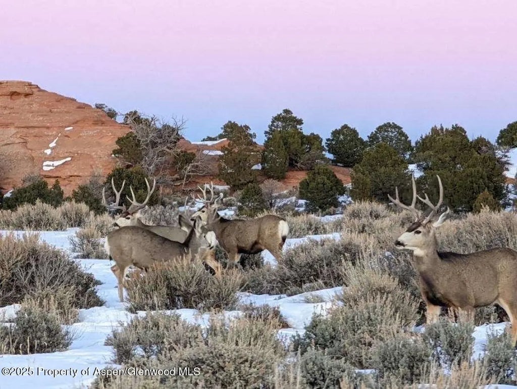 14 of 20 - Tbd Tbd, Mesa, CO