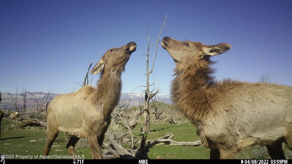 15 of 20 - Tbd Tbd, Mesa, CO