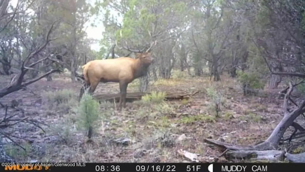 17 of 20 - Tbd Tbd, Mesa, CO