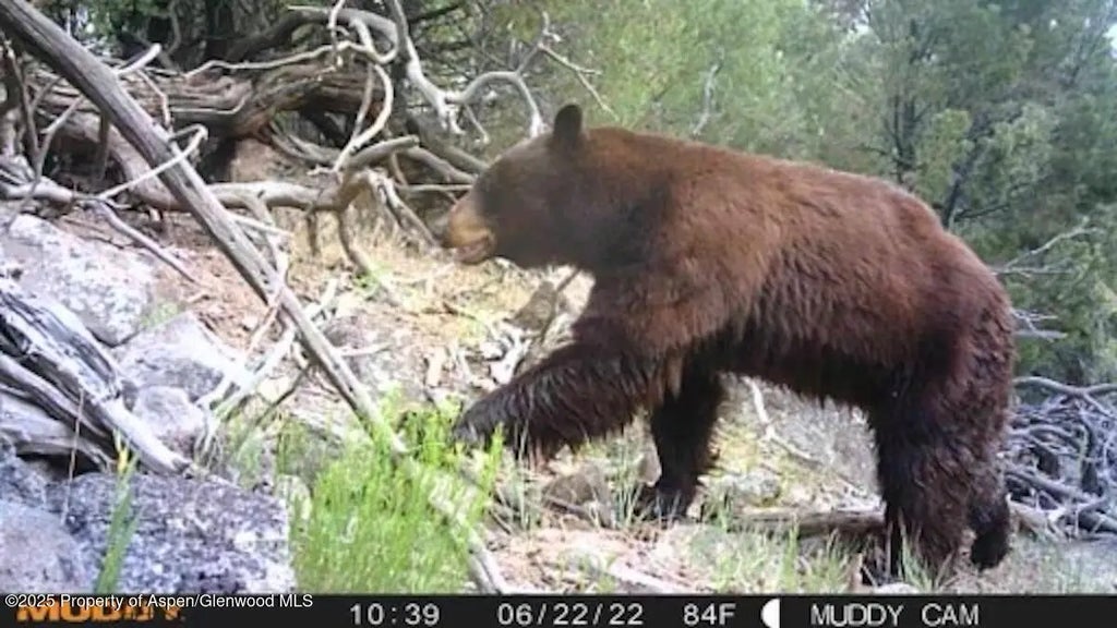 18 of 20 - Tbd Tbd, Mesa, CO