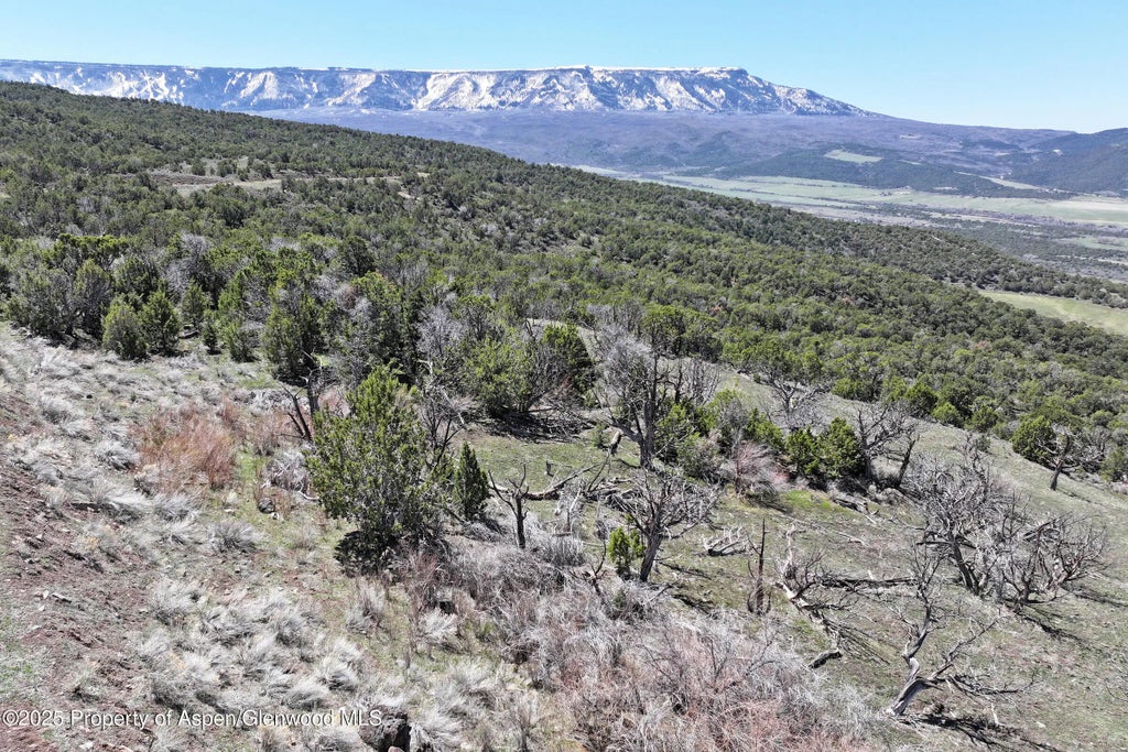 8 of 20 - Tbd Tbd, Mesa, CO