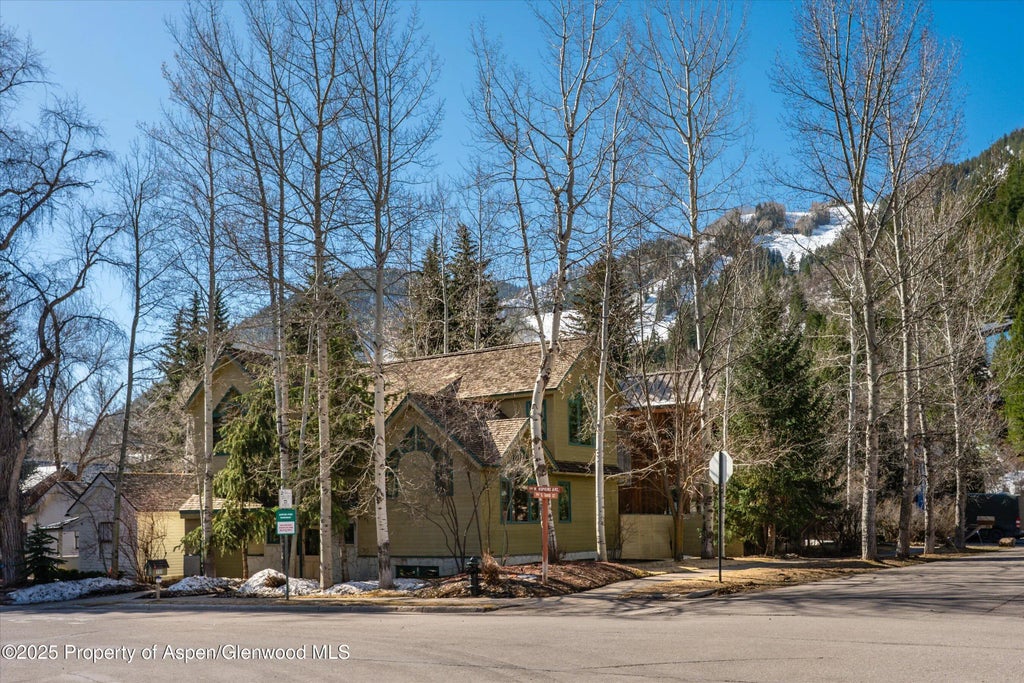 1 of 21 - 333 W Hopkins Avenue, Aspen, CO