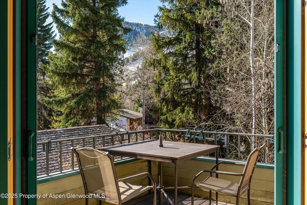 18 of 21 - 333 W Hopkins Avenue, Aspen, CO