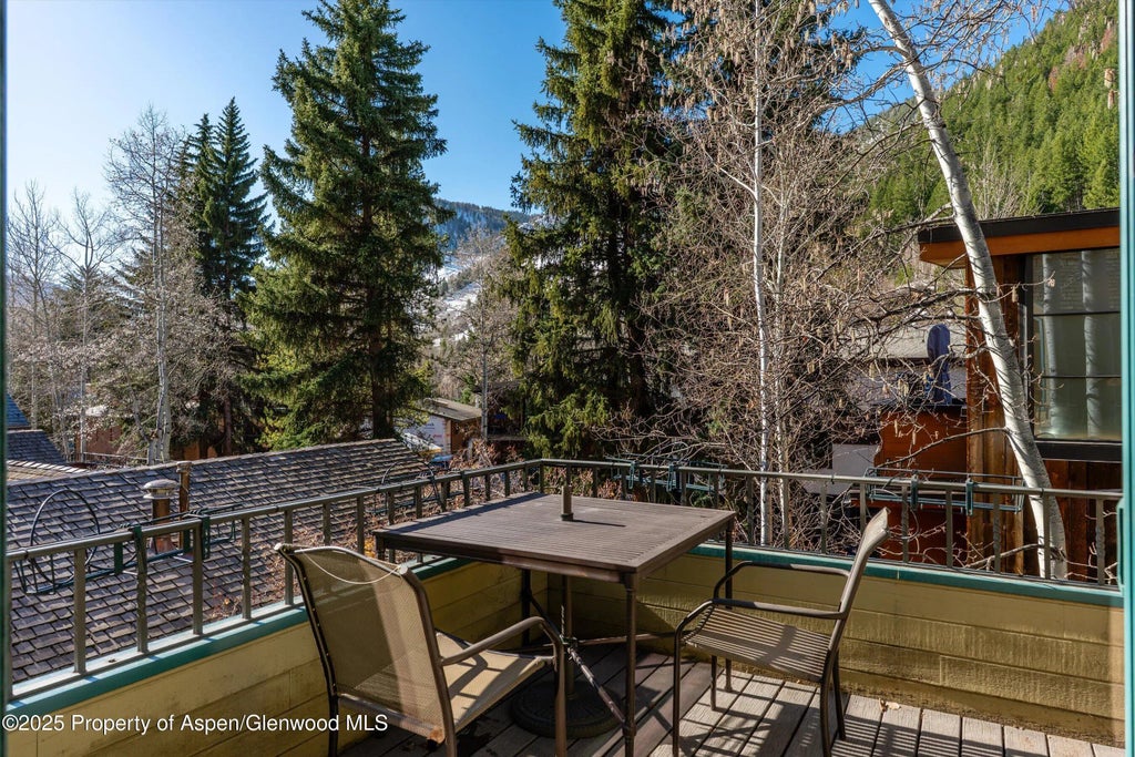 19 of 21 - 333 W Hopkins Avenue, Aspen, CO
