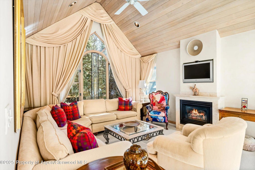 3 of 21 - 333 W Hopkins Avenue, Aspen, CO
