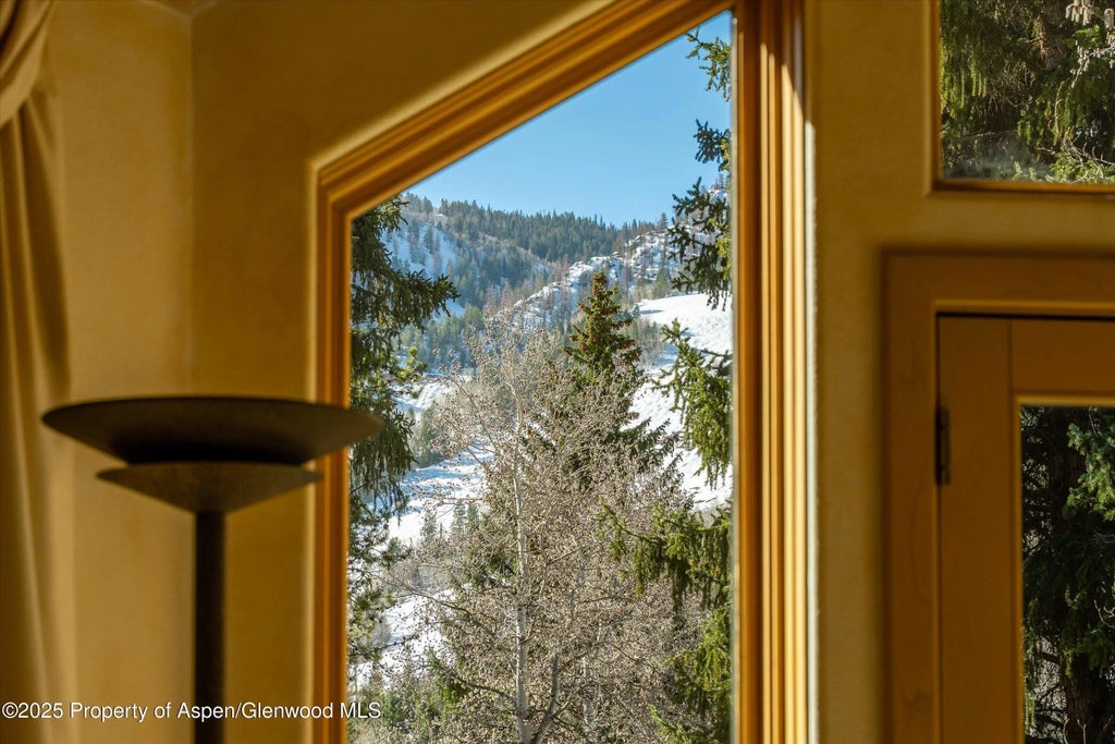 6 of 21 - 333 W Hopkins Avenue, Aspen, CO