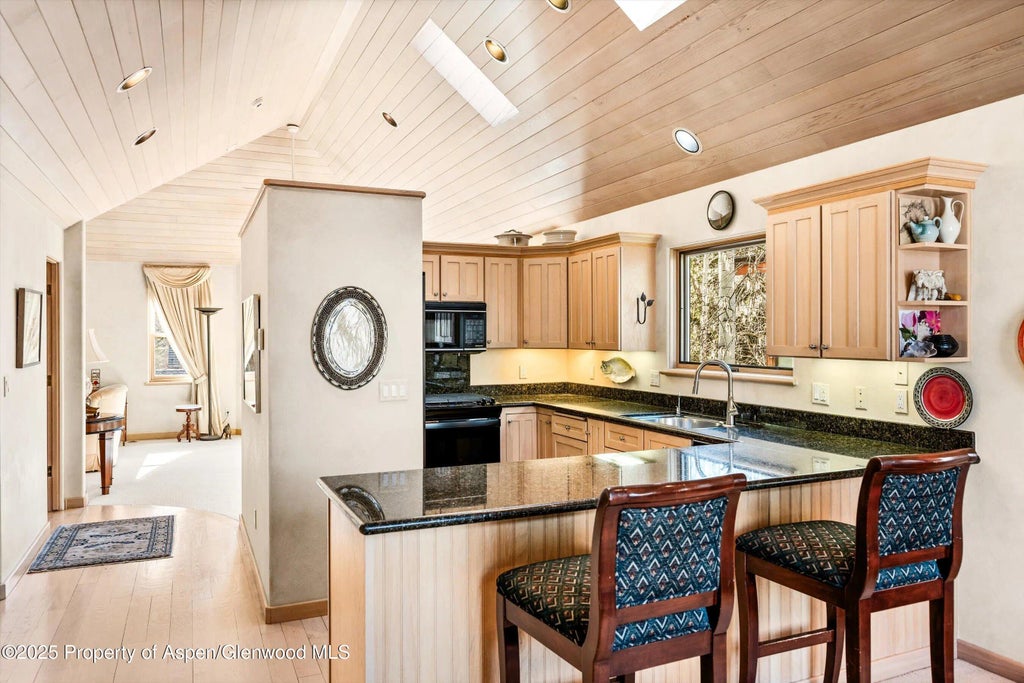 8 of 21 - 333 W Hopkins Avenue, Aspen, CO