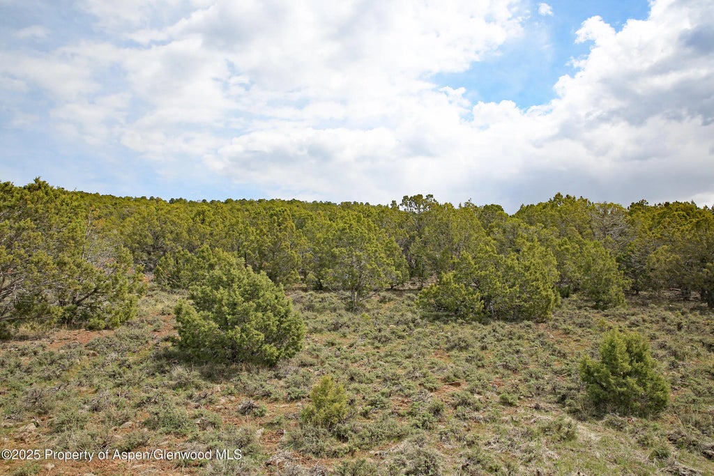 6 of 11 - Tbd Kk Road, Molina, CO