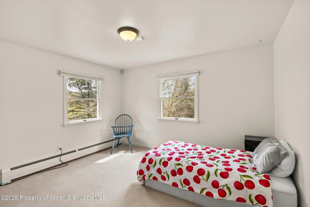 22 of 26 - 24480 Hwy 82, Basalt, CO