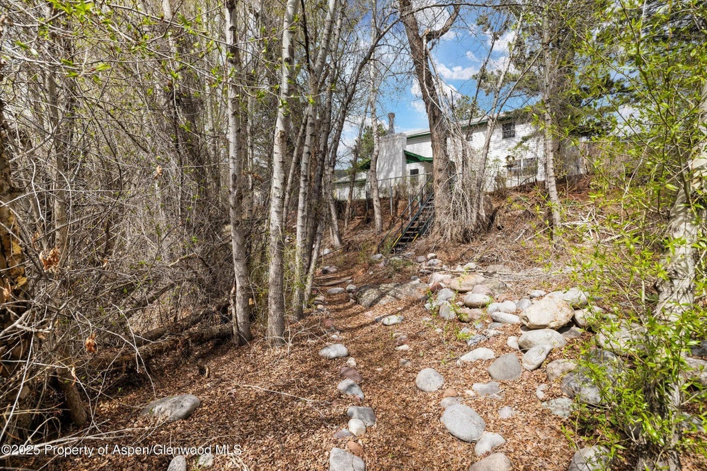 26 of 26 - 24480 Hwy 82, Basalt, CO