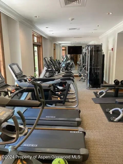 15 of 22 - 400 E Dean Street Unit #36 51/52, Aspen, CO