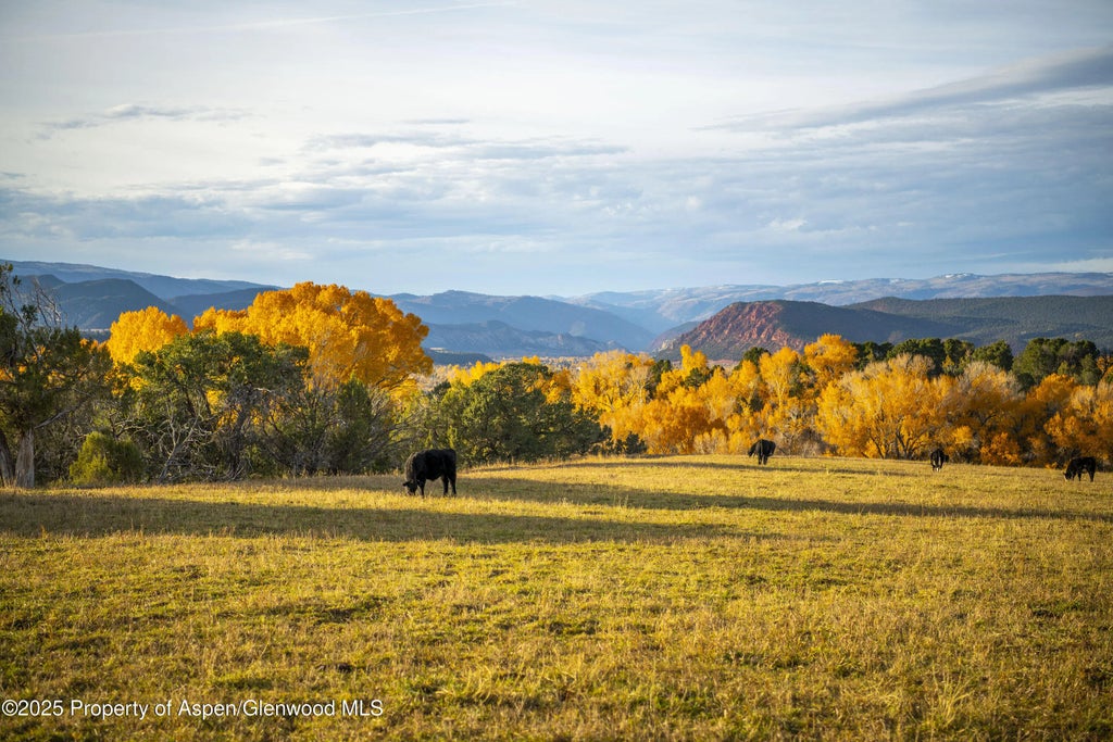 19 of 25 - 1634 Prince Creek Road, Carbondale, CO