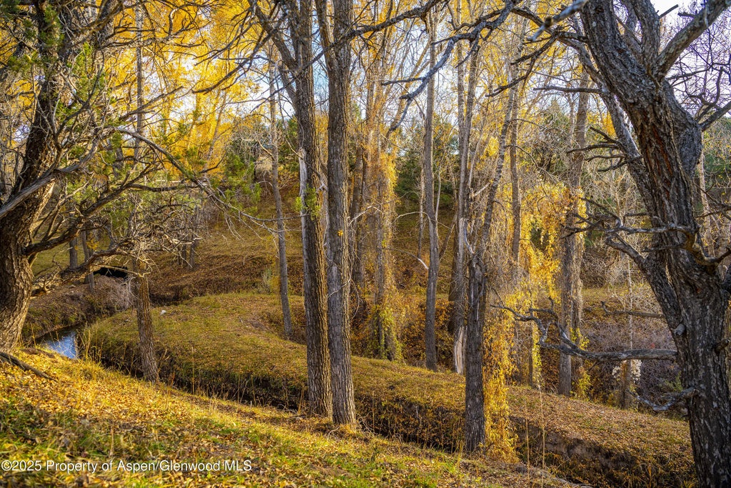 4 of 25 - 1634 Prince Creek Road, Carbondale, CO