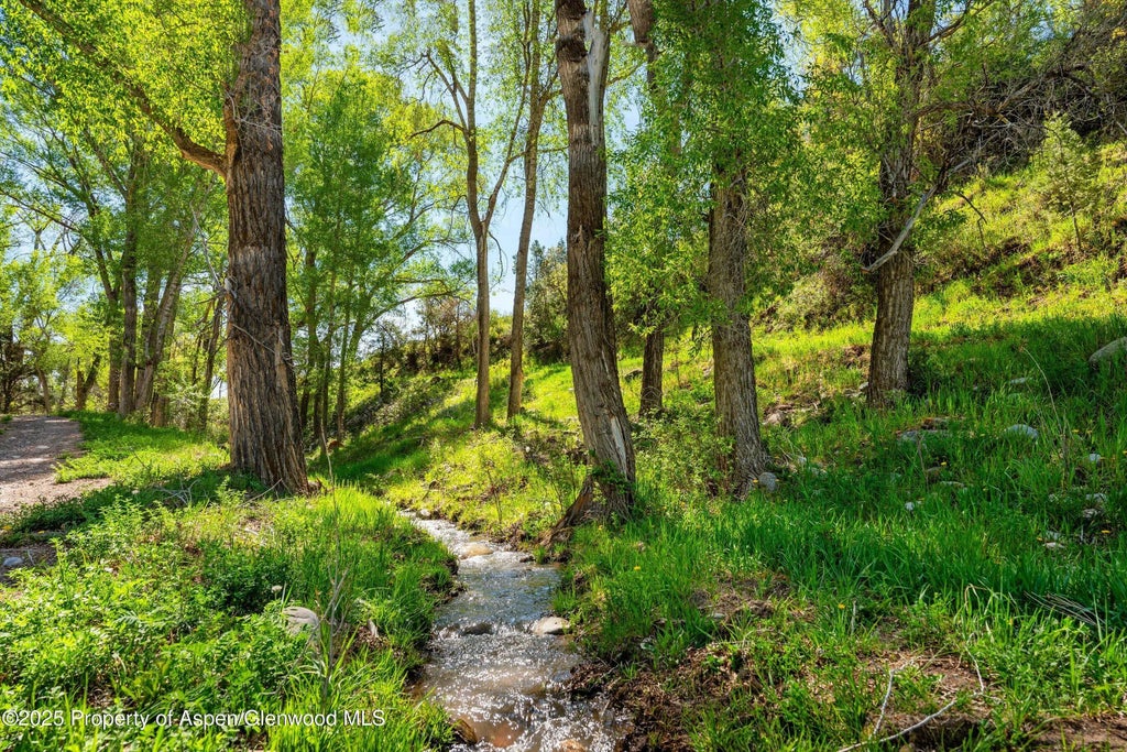 8 of 25 - 1634 Prince Creek Road, Carbondale, CO
