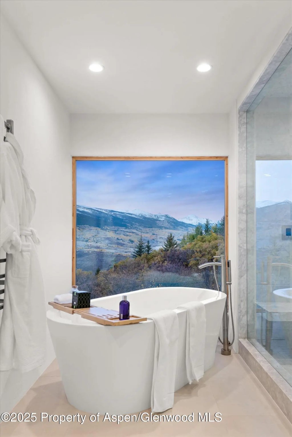 19 of 45 - 699 Eppley Drive, Aspen, CO