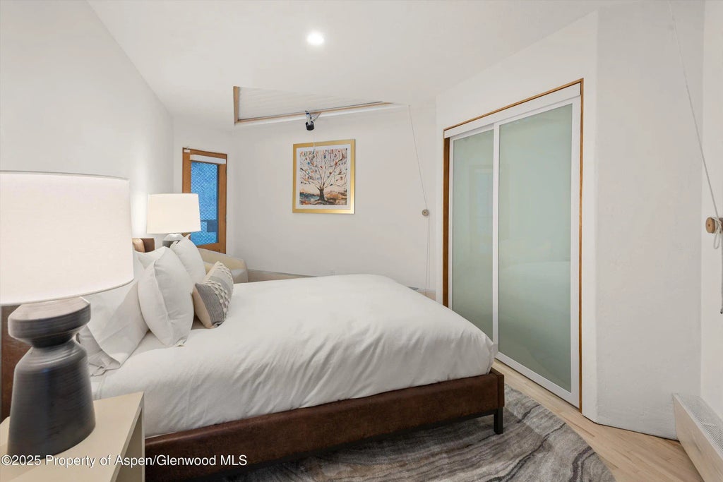 28 of 45 - 699 Eppley Drive, Aspen, CO