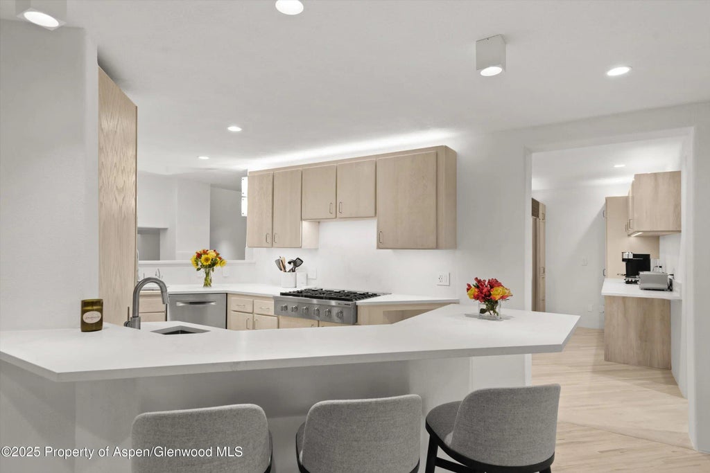 9 of 45 - 699 Eppley Drive, Aspen, CO