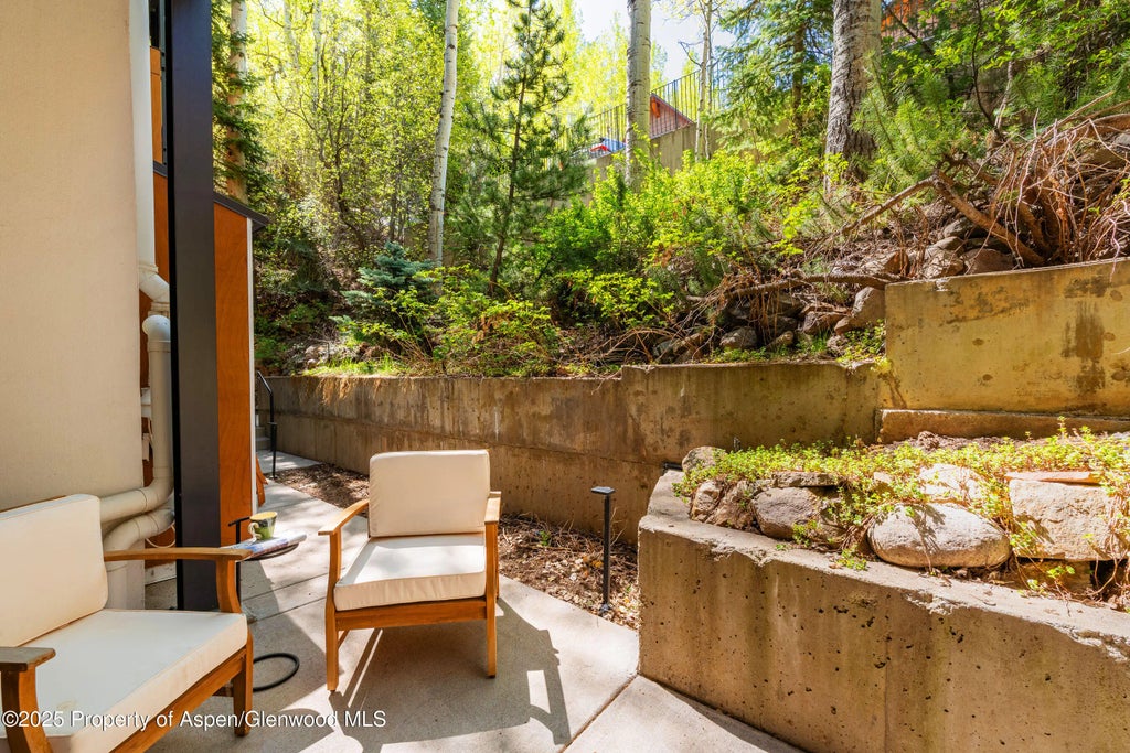 23 of 28 - 800 S Mill Street 105, Aspen, CO