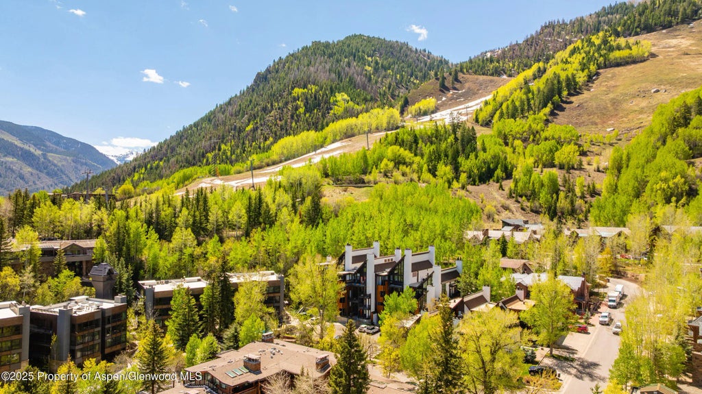 25 of 28 - 800 S Mill Street 105, Aspen, CO