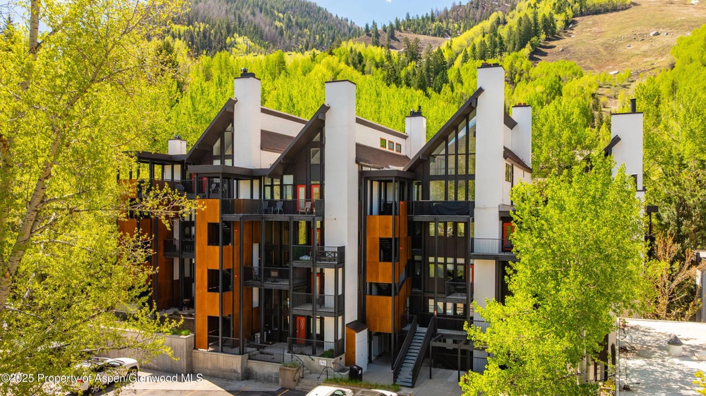 28 of 28 - 800 S Mill Street 105, Aspen, CO