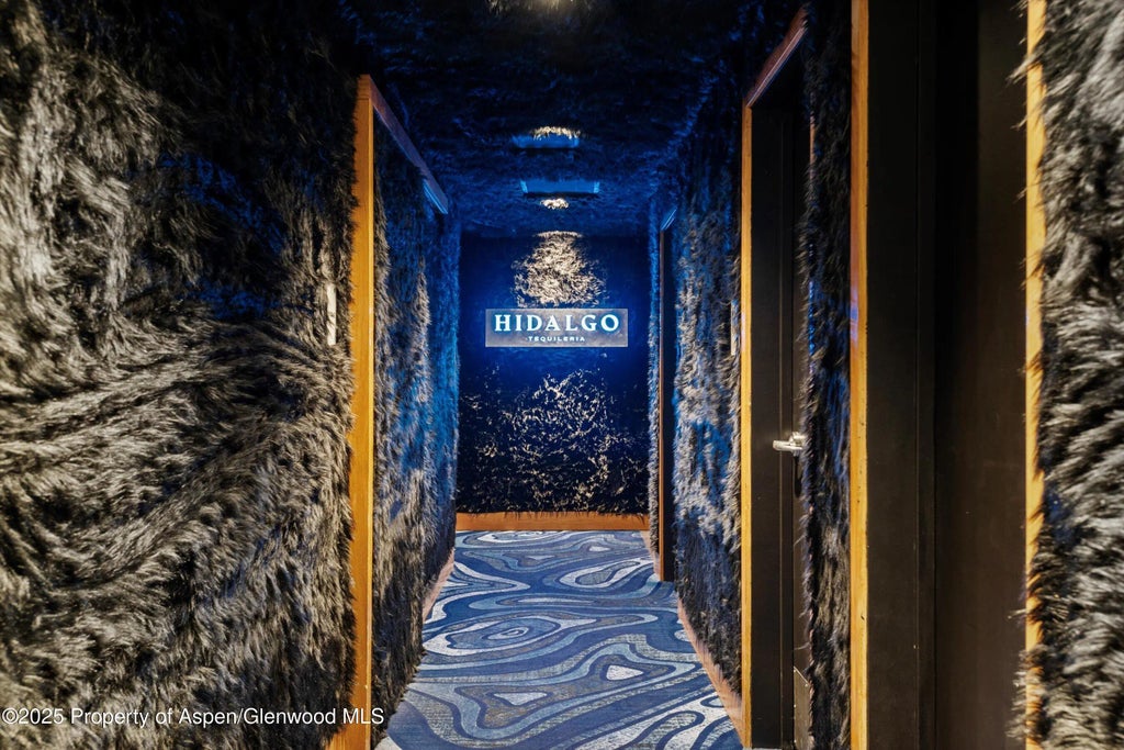 14 of 17 - 550 S Spring Street Commercial, Aspen, CO