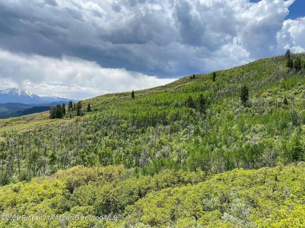 6 of 14 - Lot 5 Bear Paw Lane, Glenwood Springs, CO