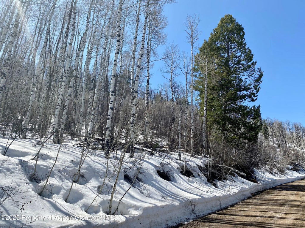 8 of 14 - Lot 5 Bear Paw Lane, Glenwood Springs, CO