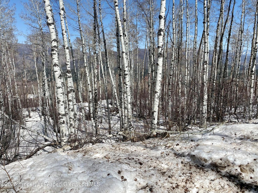 9 of 14 - Lot 5 Bear Paw Lane, Glenwood Springs, CO