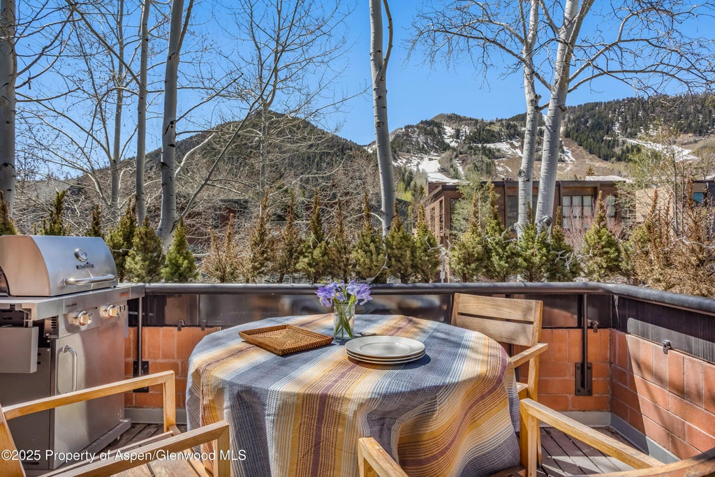 10 of 46 - 708 E Hyman Avenue, Aspen, CO