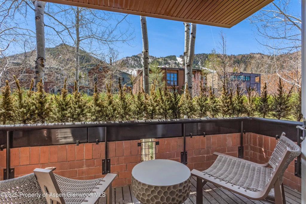 28 of 46 - 708 E Hyman Avenue, Aspen, CO