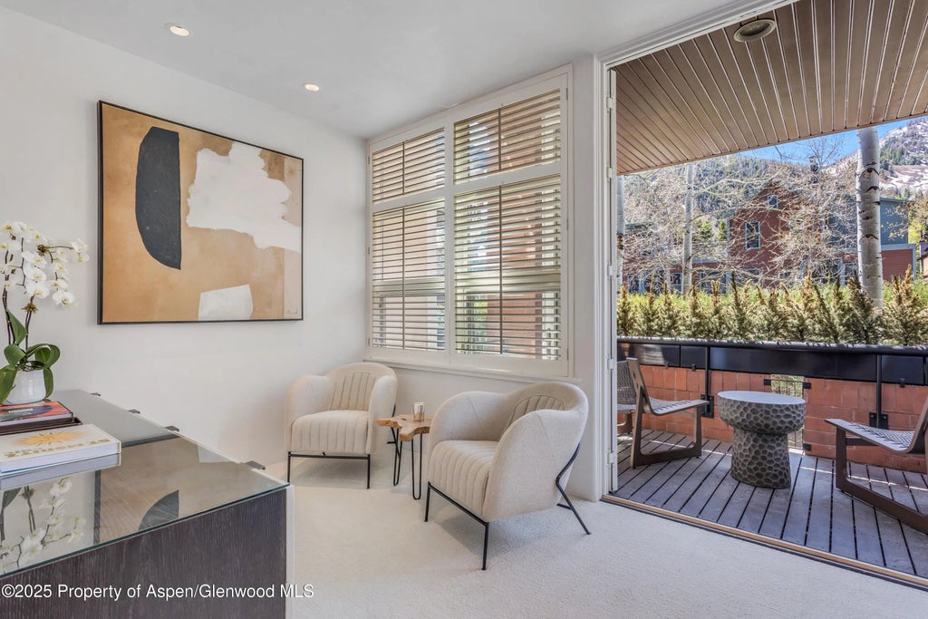 29 of 46 - 708 E Hyman Avenue, Aspen, CO