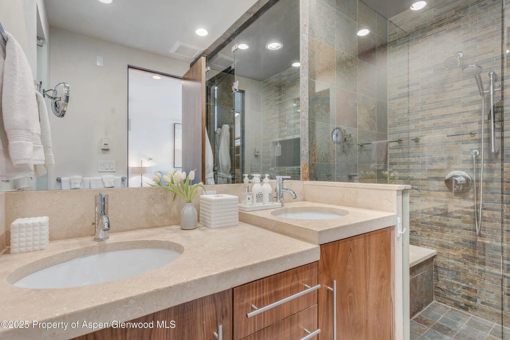 31 of 46 - 708 E Hyman Avenue, Aspen, CO