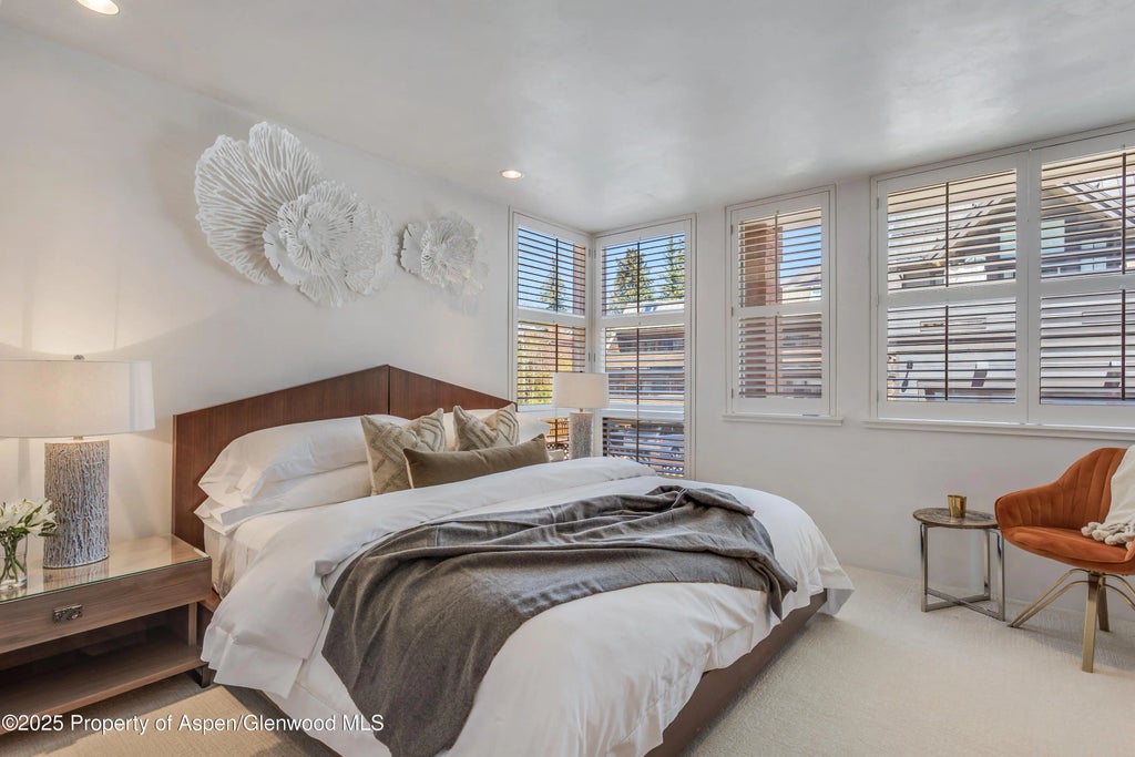 34 of 46 - 708 E Hyman Avenue, Aspen, CO