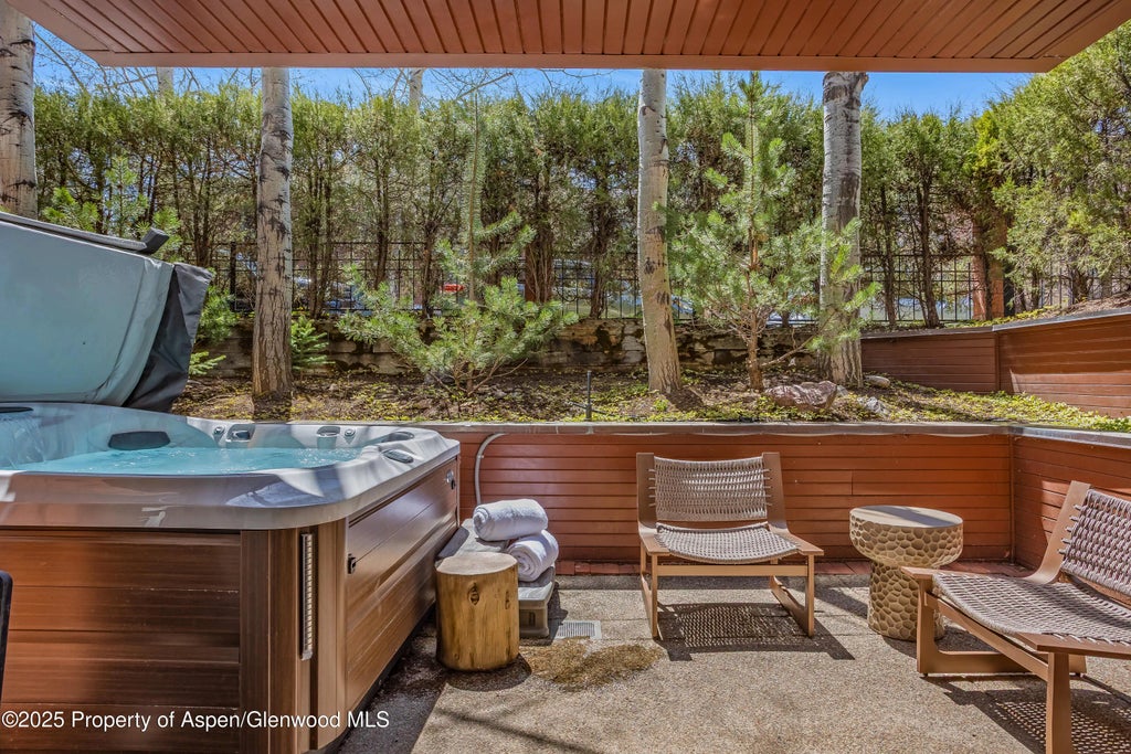 40 of 46 - 708 E Hyman Avenue, Aspen, CO