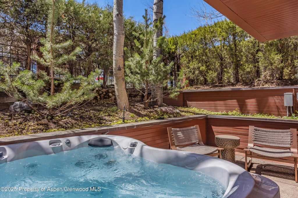 41 of 46 - 708 E Hyman Avenue, Aspen, CO