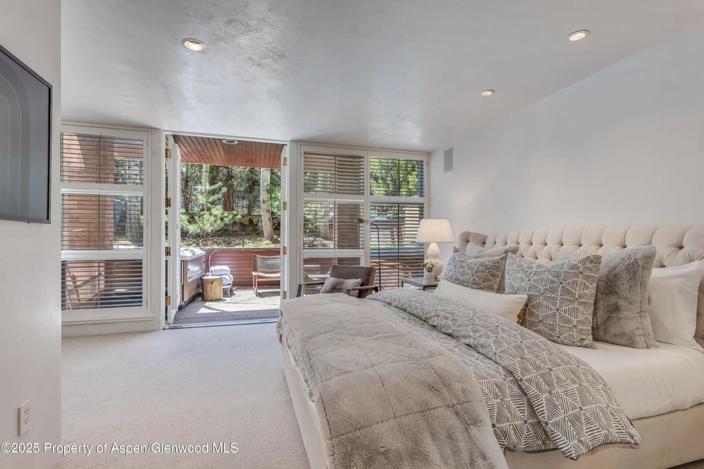 42 of 46 - 708 E Hyman Avenue, Aspen, CO