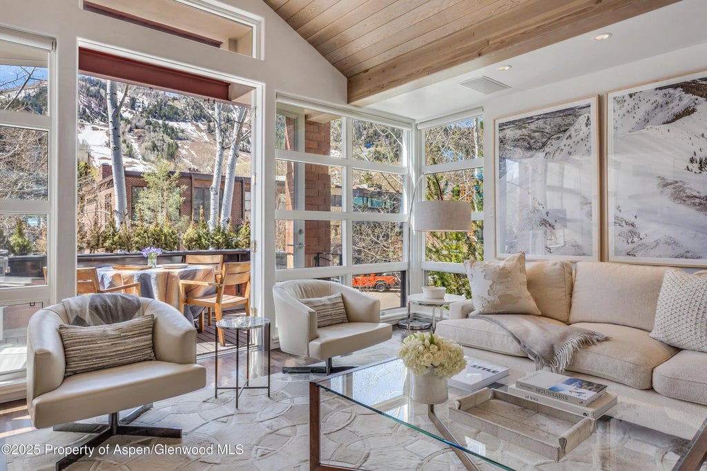 8 of 46 - 708 E Hyman Avenue, Aspen, CO