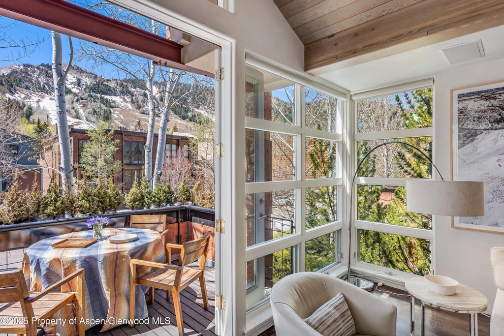 9 of 46 - 708 E Hyman Avenue, Aspen, CO