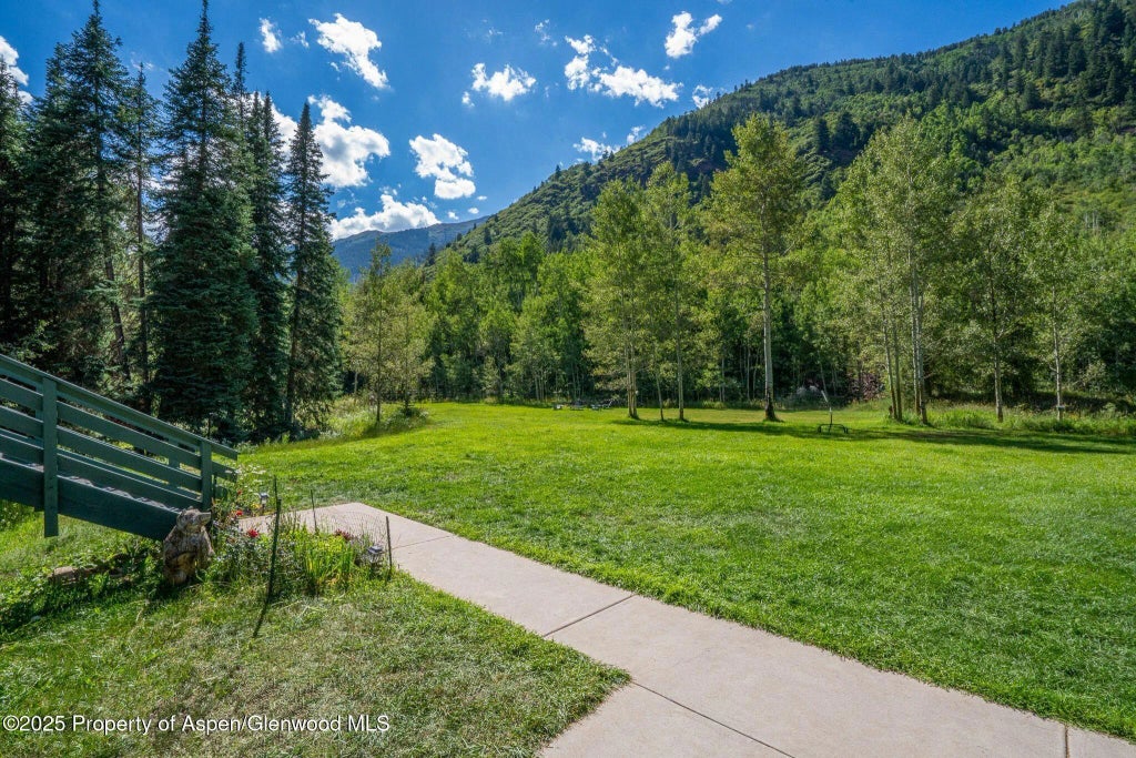 14 of 29 - 285 Conundrum Road, Aspen, CO