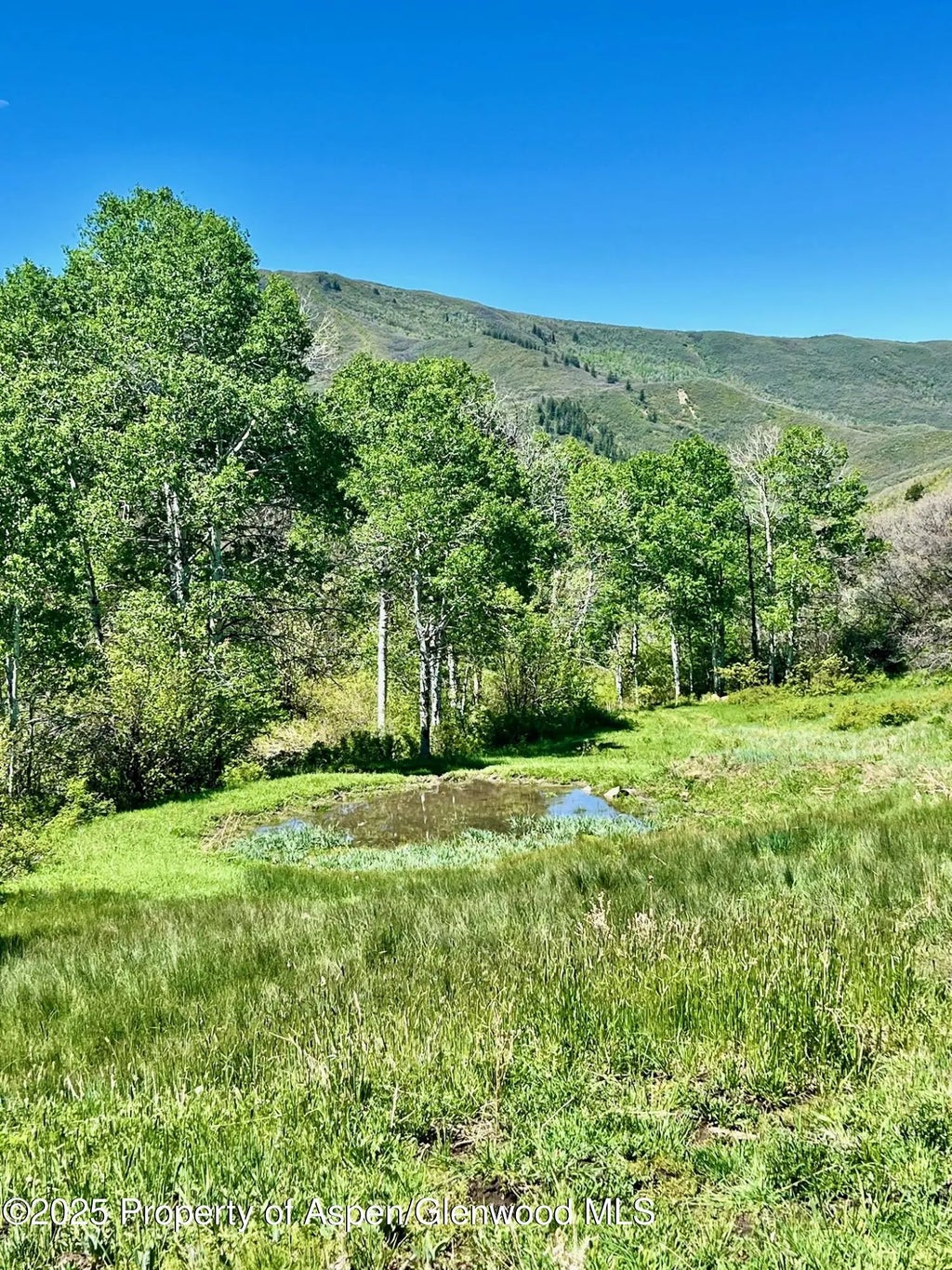 11 of 30 - 3465 134 County Road, Glenwood Springs, CO