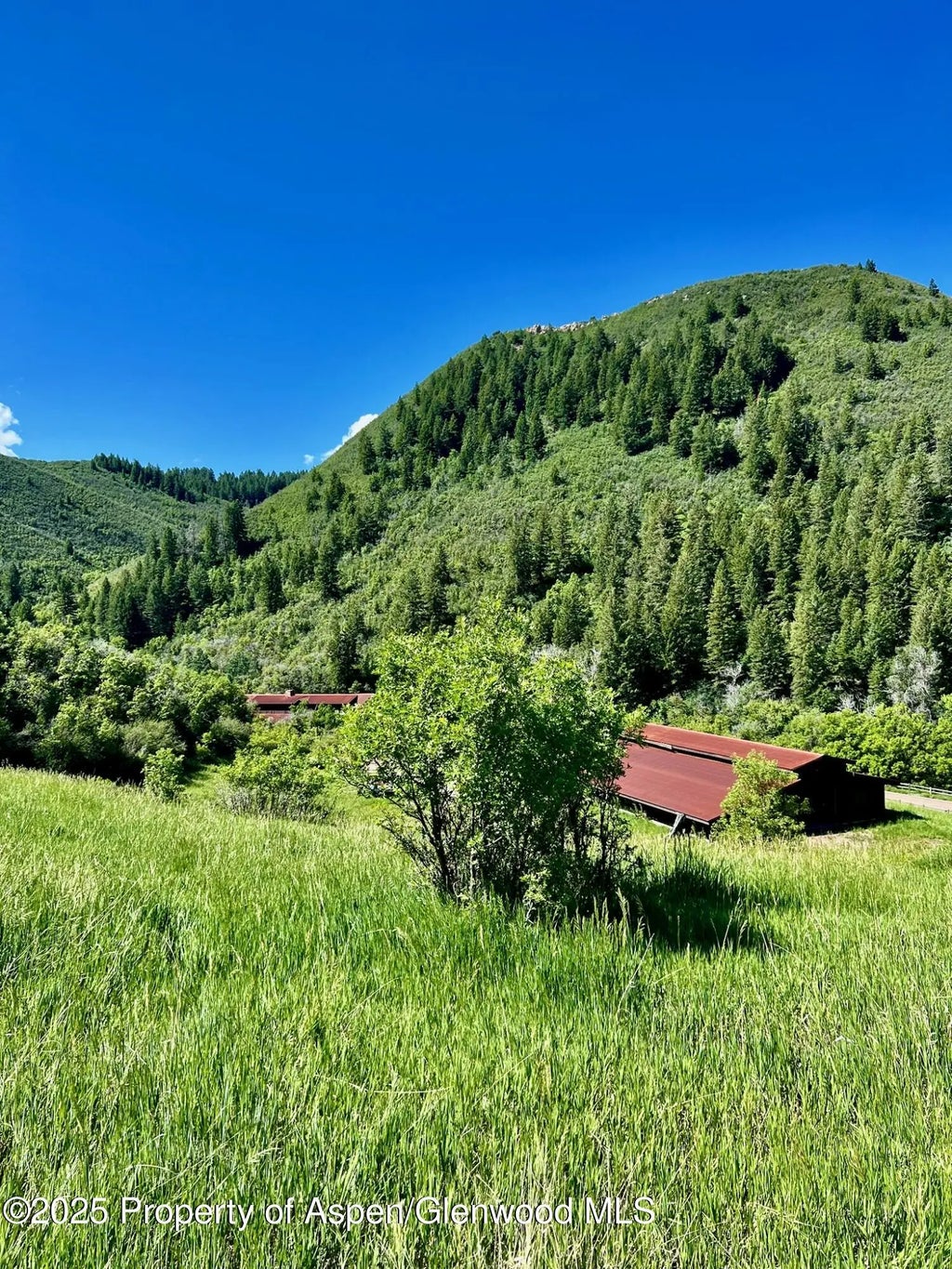 19 of 30 - 3465 134 County Road, Glenwood Springs, CO