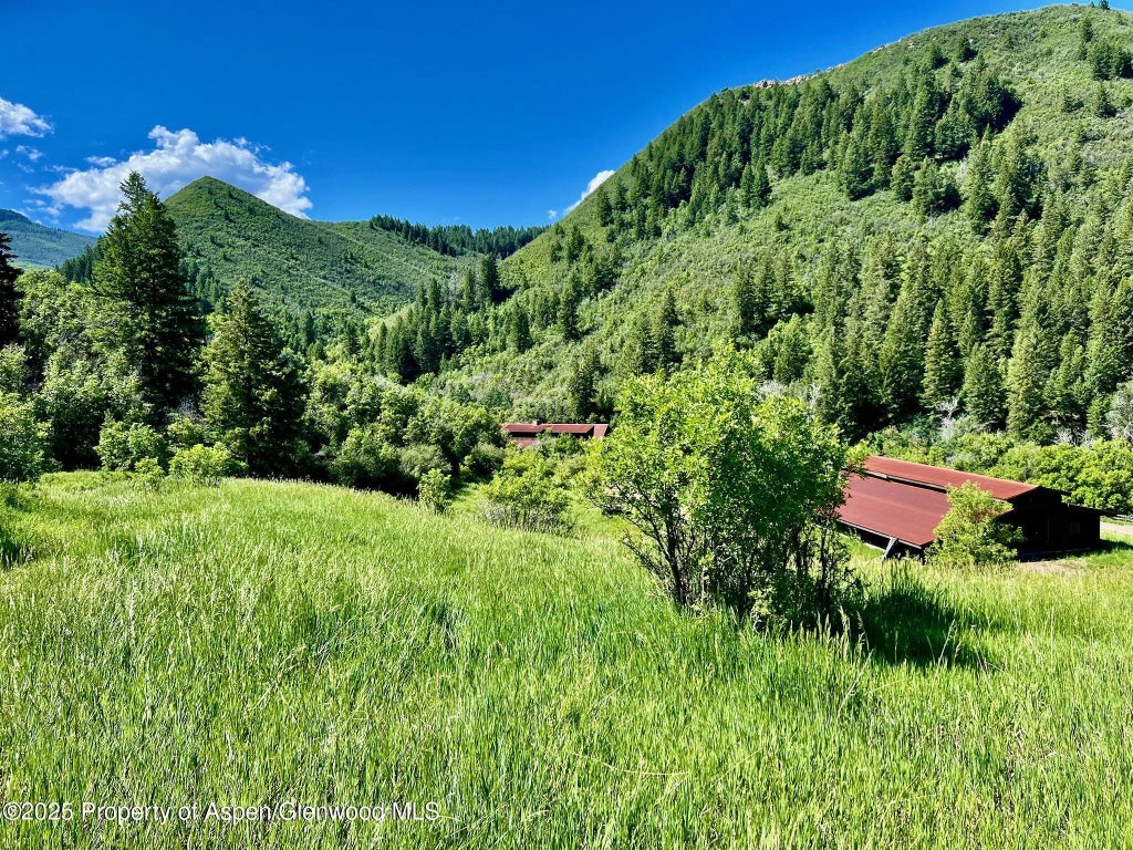 2 of 30 - 3465 134 County Road, Glenwood Springs, CO